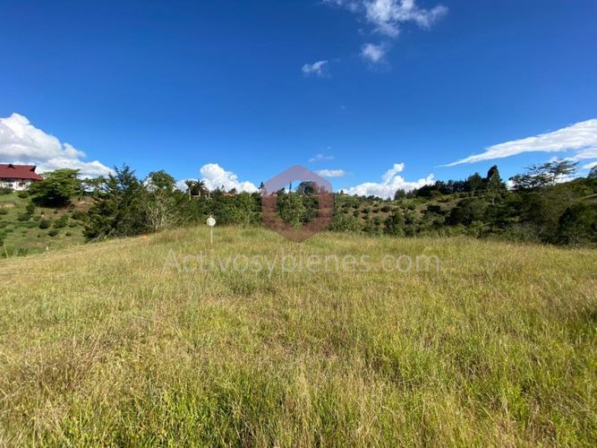 Lote en venta en La Industrial, Marinilla, 8842 m² · foto 6 de 15