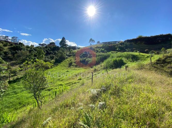 Lote en venta en La Industrial, Marinilla, 8842 m² · foto 7 de 15