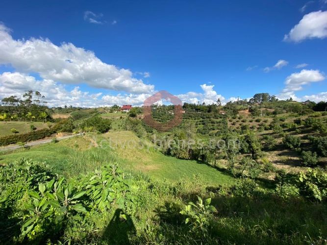 Lote en venta en La Industrial, Marinilla, 8842 m² · foto 13 de 15