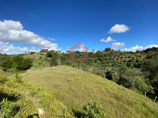 Lote en venta en La Industrial, Marinilla, 8842 m² · foto 15 de 15