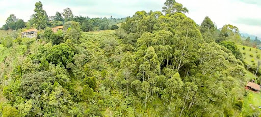Land in El porvenir for Sale - 2