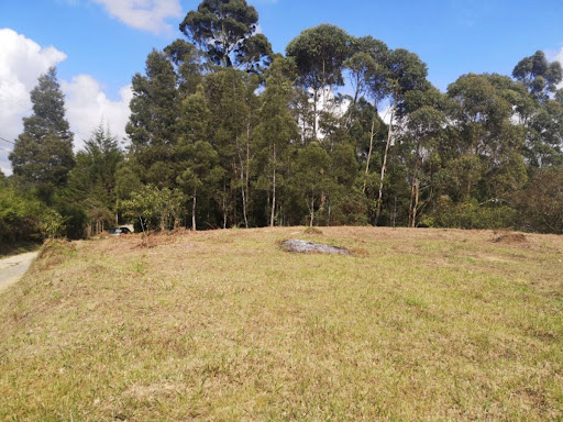 Land in El porvenir for Sale - 3