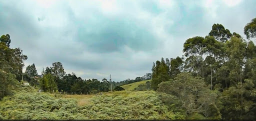 Land in El porvenir for Sale - 4