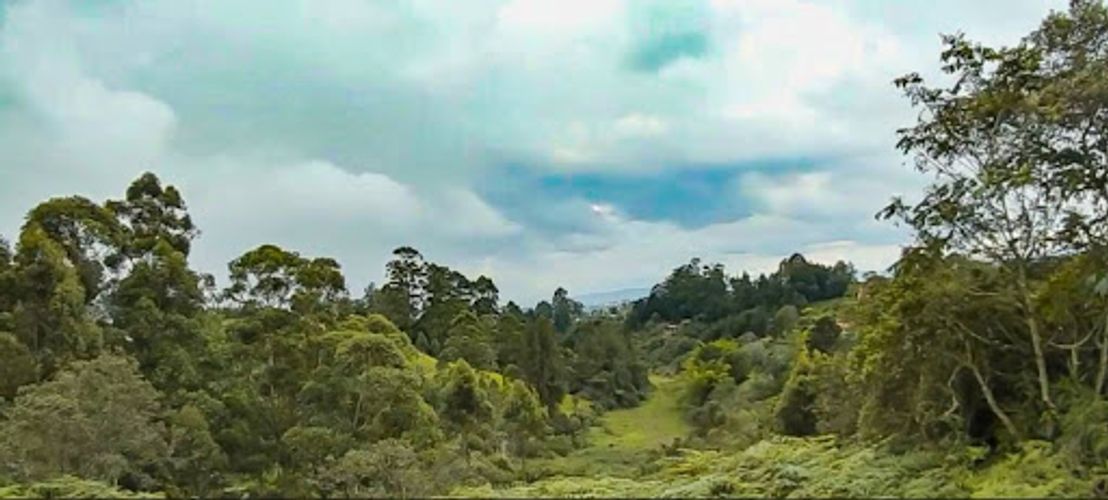 Lote en venta en El Porvenir, Rionegro, 7950 m² · foto 11 de 24