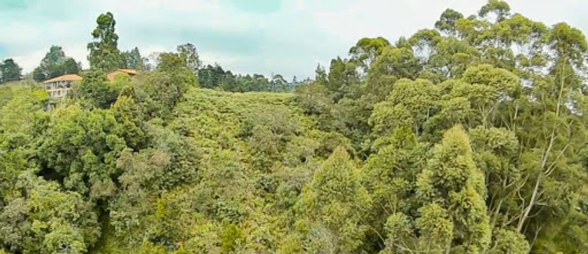 Lote en venta en El Porvenir, Rionegro, 7950 m² · foto 13 de 24