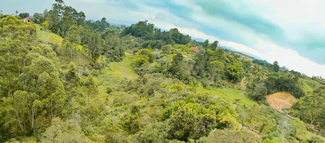 Lote en venta en El Porvenir, Rionegro, 7950 m² · foto 14 de 24