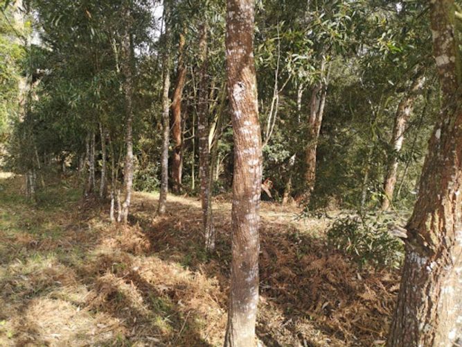 Lote en venta en El Porvenir, Rionegro, 7950 m² · foto 16 de 24