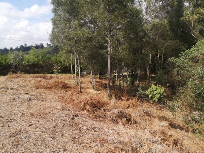 Lote en venta en El Porvenir, Rionegro, 7950 m² · foto 18 de 24