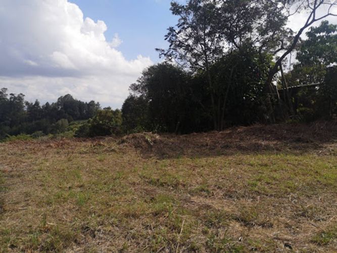 Lote en venta en El Porvenir, Rionegro, 7950 m² · foto 19 de 24