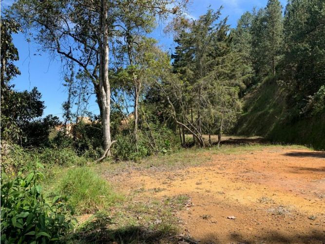 Lote en venta en San Nicolas, La Ceja, 2500 m² · foto 3 de 3