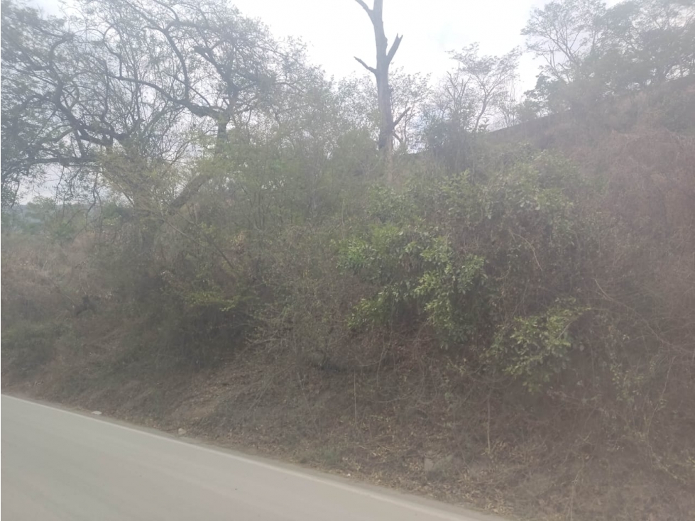 Land in Santafe de antioquia for Sale - 2