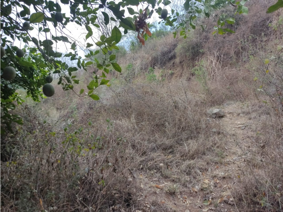 Land in Santafe de antioquia for Sale - 3