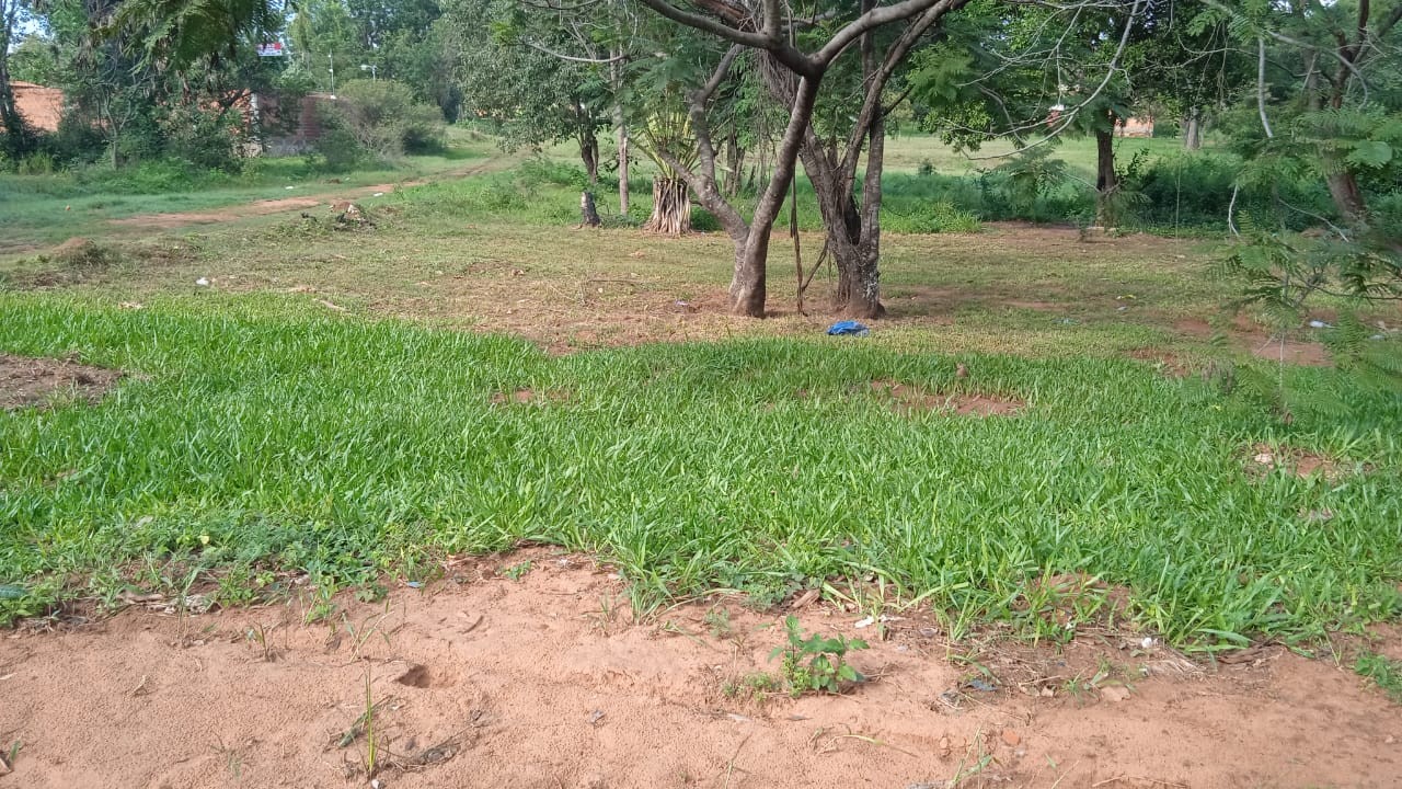 Terreno en venta en Luque — foto 2