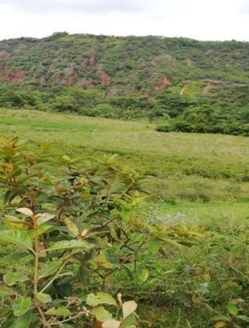 Finca en venta en El Carmelo, Bello · foto 2 de 6
