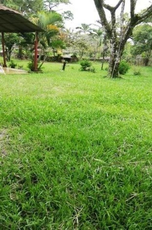Finca en venta en El Carmelo, Bello · foto 6 de 6