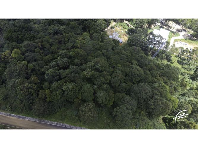 Lote en venta en Las Palmas, Envigado, 7997 m² · foto 6 de 10
