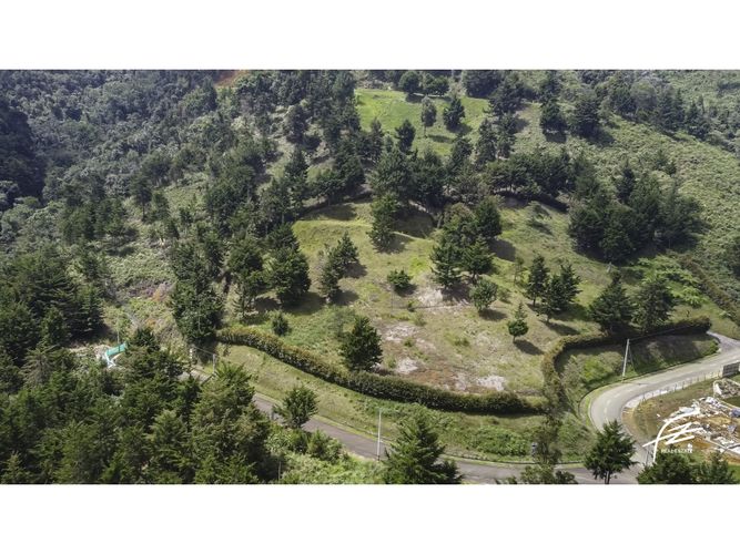 Lote en venta en Las Palmas, Envigado, 32164 m² · foto 4 de 10