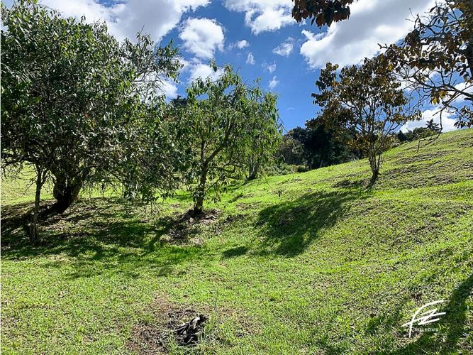 Finca en venta en Sajonia, Rionegro, 235 m² · foto 11 de 24