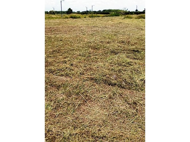 Lote en venta en Paso De La Bolsa, Jamundí, 150 m² · foto 20 de 24