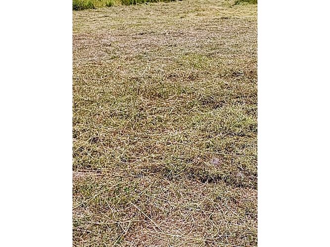 Lote en venta en Paso De La Bolsa, Jamundí, 150 m² · foto 23 de 24