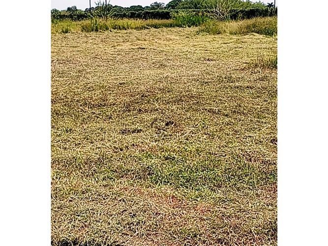 Lote en venta en Paso De La Bolsa, Jamundí, 150 m² · foto 24 de 24