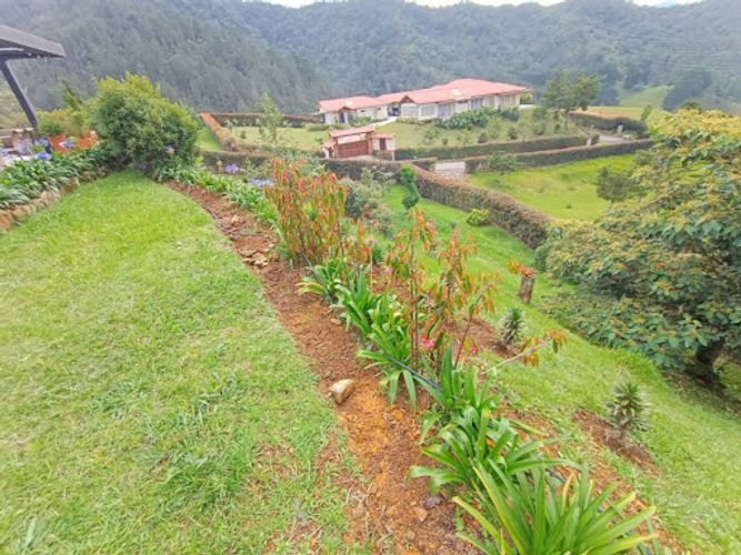 Finca en arriendo en El Tambo, La Ceja, 200 m² · foto 21 de 24