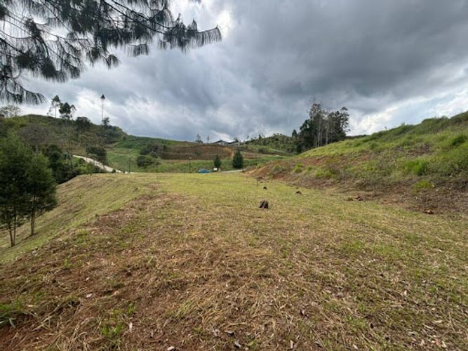 Lote en venta en El Porvenir, Rionegro, 5924 m² · foto 4 de 11