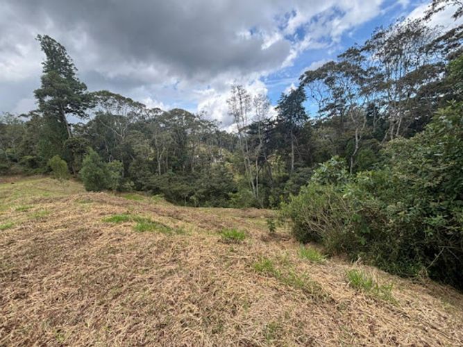 Lote en venta en El Porvenir, Rionegro, 5924 m² · foto 5 de 11