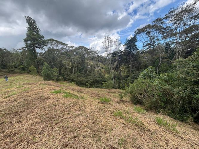 Lote en venta en El Porvenir, Rionegro, 5924 m² · foto 8 de 11