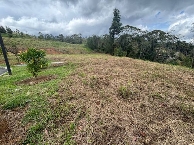 Lote en venta en El Porvenir, Rionegro, 5924 m² · foto 9 de 11