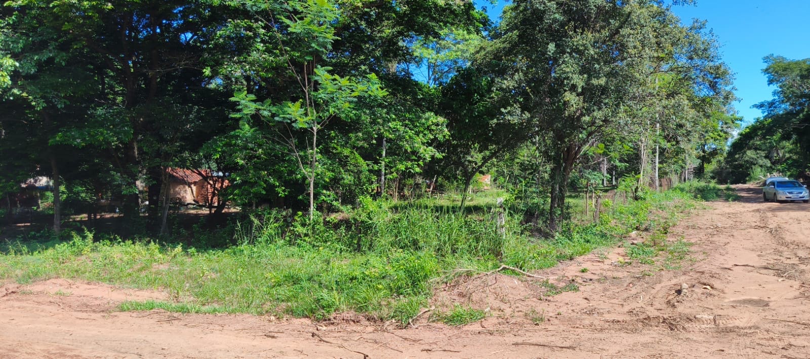 VENDO TERRENO EN SAN BERNARDINO EN ESQUINA CIERVO CUA — foto 3