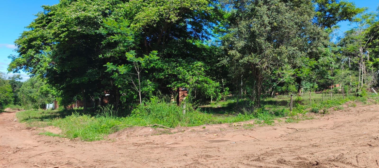 VENDO TERRENO EN SAN BERNARDINO EN ESQUINA CIERVO CUA — foto 2