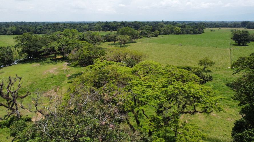 Finca en venta en San Gregorio, Villavicencio, 10220 m² · foto 7 de 24