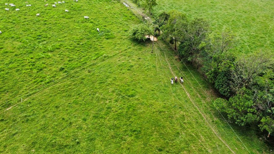 Finca en venta en San Gregorio, Villavicencio, 10220 m² · foto 9 de 24