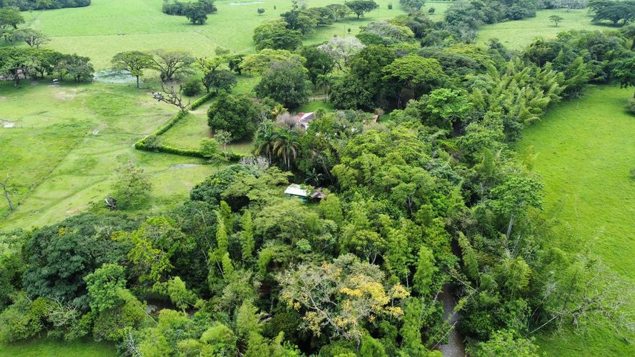 Finca en venta en San Gregorio, Villavicencio, 10220 m² · foto 10 de 24