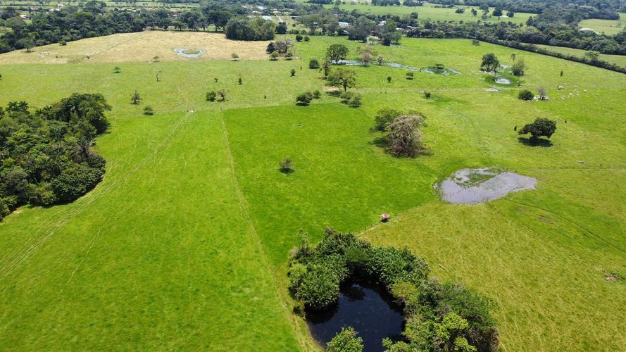 Finca en venta en San Gregorio, Villavicencio, 10220 m² · foto 11 de 24