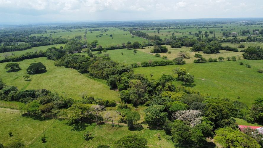 Finca en venta en San Gregorio, Villavicencio, 10220 m² · foto 12 de 24
