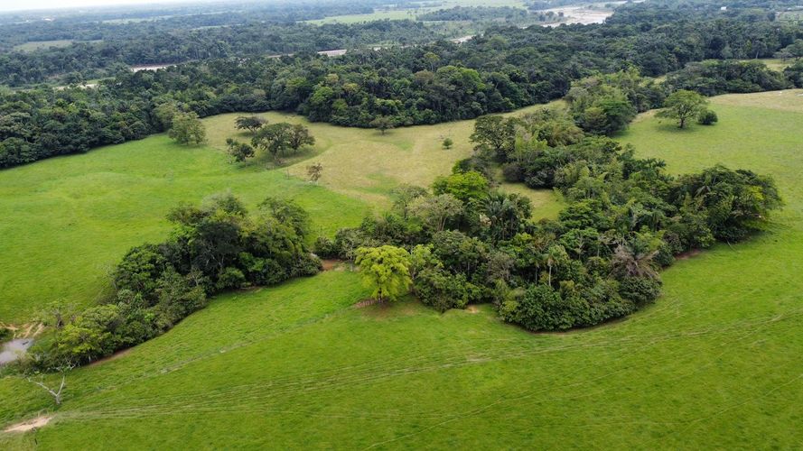 Finca en venta en San Gregorio, Villavicencio, 10220 m² · foto 14 de 24
