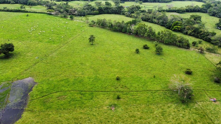 Finca en venta en San Gregorio, Villavicencio, 10220 m² · foto 19 de 24