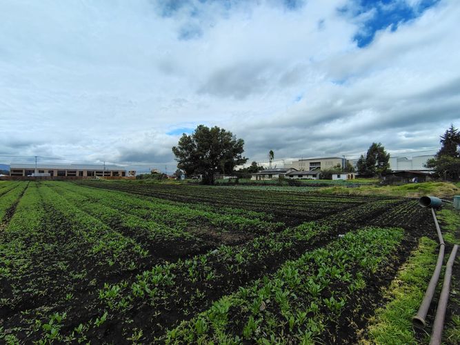 Lote en venta en Siberia, Cota, 30000 m² · foto 7 de 22