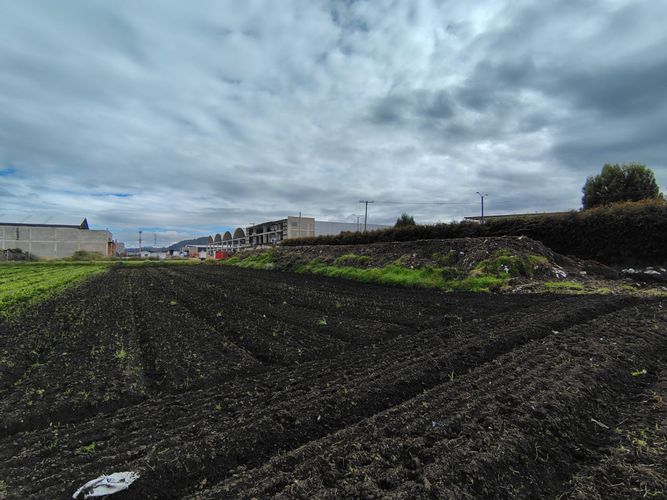 Lote en venta en Siberia, Cota, 30000 m² · foto 8 de 22