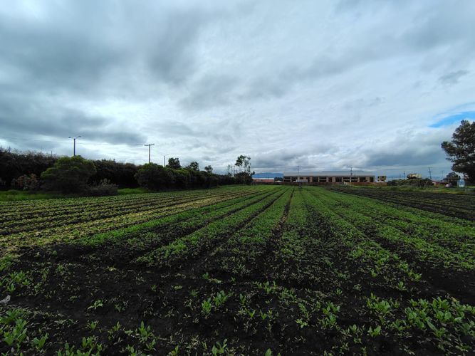 Lote en venta en Siberia, Cota, 30000 m² · foto 9 de 22