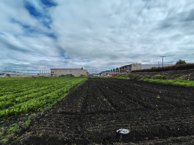 Lote en venta en Siberia, Cota, 30000 m² · foto 10 de 22