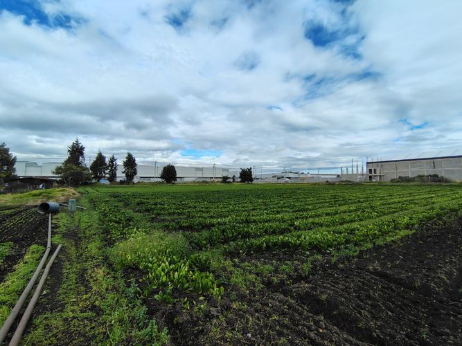 Lote en venta en Siberia, Cota, 30000 m² · foto 11 de 22