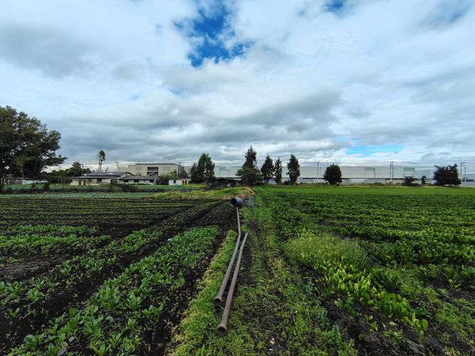 Lote en venta en Siberia, Cota, 30000 m² · foto 12 de 22