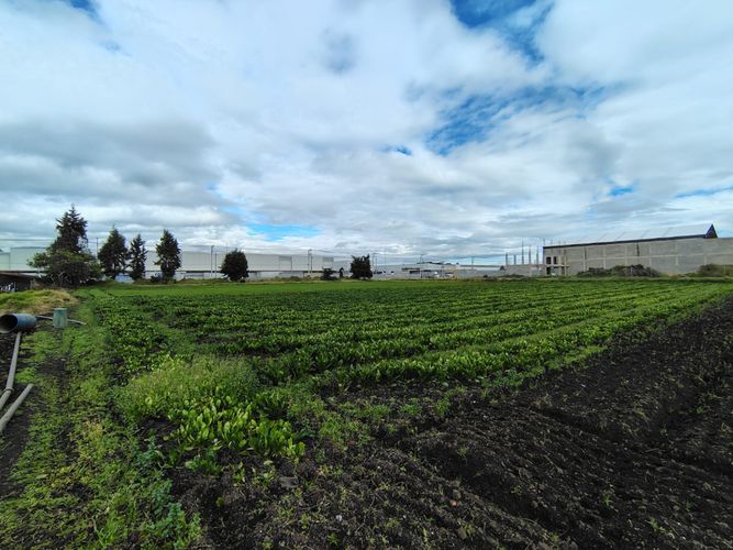 Lote en venta en Siberia, Cota, 30000 m² · foto 13 de 22