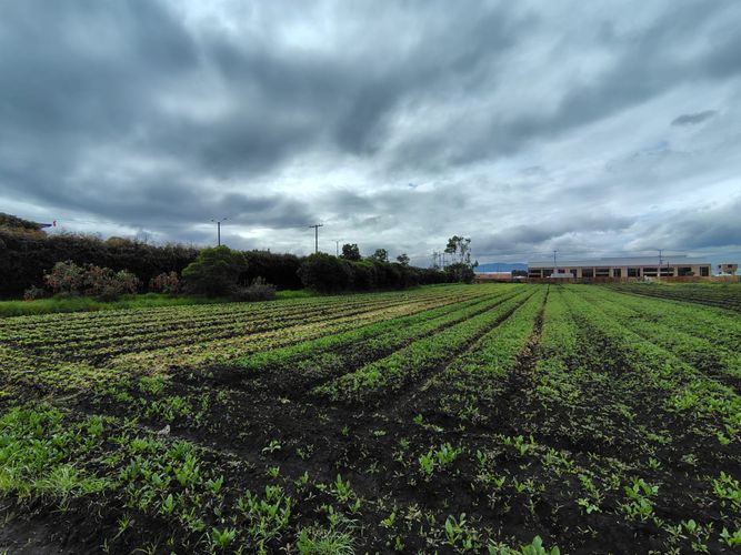Lote en venta en Siberia, Cota, 30000 m² · foto 14 de 22