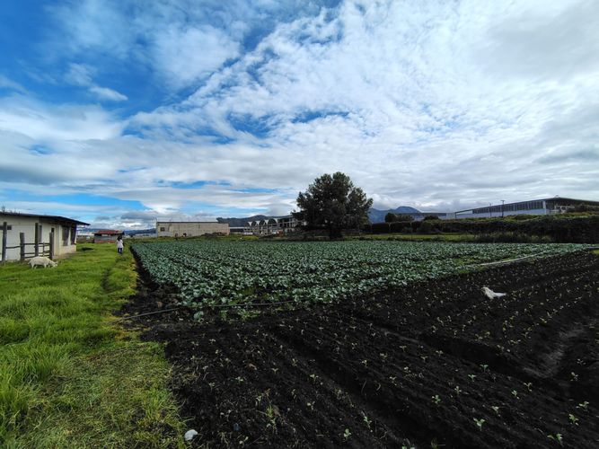Lote en venta en Siberia, Cota, 30000 m² · foto 19 de 22