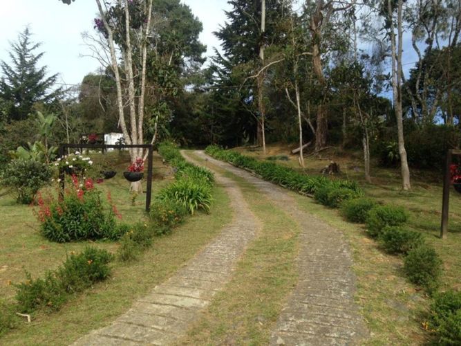 Casa de 3 alcobas en venta en Pantanillo, Envigado, 287 m² · foto 9 de 19
