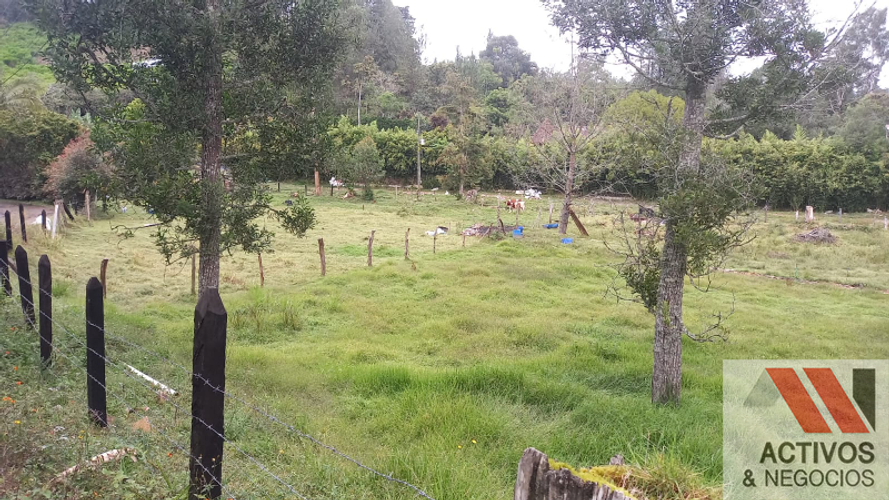 Lote en venta en Pantanillo, El Retiro, 9207 m² · foto 10 de 14